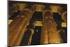 Egypt, Luxor Egypt, Column of Amenophis Iii at Luxor Temple-Claudia Adams-Mounted Photographic Print