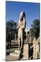 Egypt, Luxor, Karnak, Great Temple of Amon, Courtyard and Colossus of Ramses II-null-Mounted Giclee Print