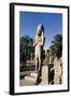 Egypt, Luxor, Karnak, Great Temple of Amon, Courtyard and Colossus of Ramses II-null-Framed Giclee Print