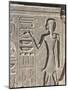 Egypt, Luxor, Karnak, Great Temple of Amon, Relief of Priest of Amon-null-Mounted Giclee Print