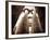 Egypt, Luxor, Karnak, Temple of Amun, Great Hypostyle Hall-Michele Falzone-Framed Photographic Print