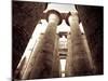 Egypt, Luxor, Karnak, Temple of Amun, Great Hypostyle Hall-Michele Falzone-Mounted Photographic Print