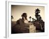 Egypt, Luxor, Luxor Temple, Avenue of Sphinxes-Michele Falzone-Framed Photographic Print