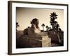 Egypt, Luxor, Luxor Temple, Avenue of Sphinxes-Michele Falzone-Framed Photographic Print