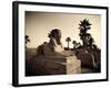 Egypt, Luxor, Luxor Temple, Avenue of Sphinxes-Michele Falzone-Framed Photographic Print