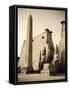 Egypt, Luxor, Luxor Temple-Michele Falzone-Framed Stretched Canvas