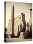 Egypt, Luxor, Luxor Temple-Michele Falzone-Stretched Canvas