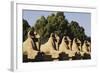 Egypt, Luxor, Ram Headed Sphinx at Karnak Temple-Claudia Adams-Framed Photographic Print