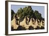 Egypt, Luxor, Ram Headed Sphinx at Karnak Temple-Claudia Adams-Framed Photographic Print