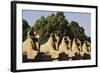 Egypt, Luxor, Ram Headed Sphinx at Karnak Temple-Claudia Adams-Framed Photographic Print