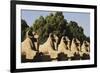 Egypt, Luxor, Ram Headed Sphinx at Karnak Temple-Claudia Adams-Framed Photographic Print