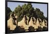 Egypt, Luxor, Ram Headed Sphinx at Karnak Temple-Claudia Adams-Framed Photographic Print