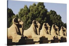 Egypt, Luxor, Ram Headed Sphinx at Karnak Temple-Claudia Adams-Stretched Canvas