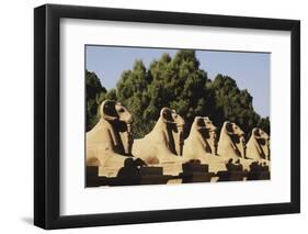 Egypt, Luxor, Ram Headed Sphinx at Karnak Temple-Claudia Adams-Framed Photographic Print