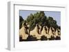 Egypt, Luxor, Ram Headed Sphinx at Karnak Temple-Claudia Adams-Framed Photographic Print