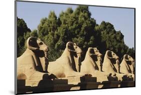 Egypt, Luxor, Ram Headed Sphinx at Karnak Temple-Claudia Adams-Mounted Photographic Print