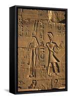 Egypt, Luxor, Stone Reliefs in Amun Temple Enclosure at Temples-Claudia Adams-Framed Stretched Canvas