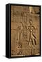 Egypt, Luxor, Stone Reliefs in Amun Temple Enclosure at Temples-Claudia Adams-Framed Stretched Canvas