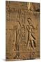 Egypt, Luxor, Stone Reliefs in Amun Temple Enclosure at Temples-Claudia Adams-Mounted Photographic Print