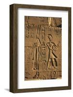 Egypt, Luxor, Stone Reliefs in Amun Temple Enclosure at Temples-Claudia Adams-Framed Photographic Print