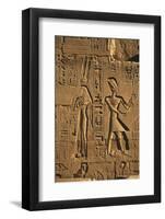 Egypt, Luxor, Stone Reliefs in Amun Temple Enclosure at Temples-Claudia Adams-Framed Photographic Print