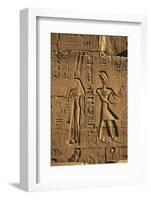 Egypt, Luxor, Stone Reliefs in Amun Temple Enclosure at Temples-Claudia Adams-Framed Photographic Print