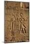 Egypt, Luxor, Stone Reliefs in Amun Temple Enclosure at Temples-Claudia Adams-Mounted Photographic Print