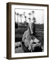 Egypt Memphis-Pontin Brown-Framed Photographic Print