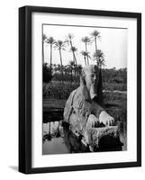 Egypt Memphis-Pontin Brown-Framed Photographic Print