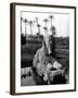 Egypt Memphis-Pontin Brown-Framed Photographic Print