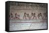 Egypt, Necropolis of Beni Hasan, Tomb of Amenemhat, Mural Painting Depicting Wrestling Scenes-null-Framed Stretched Canvas