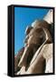 Egypt, Nubia, Abu Simbel, Great Temple of Ramses II, Colossal Statue of Ramses II-null-Framed Stretched Canvas