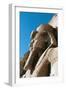 Egypt, Nubia, Abu Simbel, Great Temple of Ramses II, Colossal Statue of Ramses II-null-Framed Giclee Print