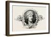 Egypt, Ornament, 1879-null-Framed Giclee Print