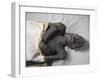 Egypt, Royal Mummy of Ramses I-null-Framed Giclee Print