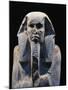 Egypt, Saqqara-null-Mounted Giclee Print