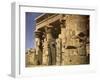 Egypt- temple of Kom Ombo-English Photographer-Framed Giclee Print