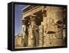 Egypt- temple of Kom Ombo-English Photographer-Framed Stretched Canvas