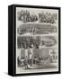 Egypt, the Mutiny at Assiout-Godefroy Durand-Framed Stretched Canvas