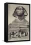 Egypt - the Sphinx-null-Framed Stretched Canvas