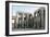 Egypt, Thebes, Luxor, Karnak, Temple of Amon, Court of Ramses II, Columns and Statues-null-Framed Giclee Print