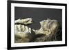 Egypt, Thebes, Luxor, Valley of the Kings, Tomb of Amenhotep II-null-Framed Giclee Print