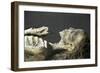 Egypt, Thebes, Luxor, Valley of the Kings, Tomb of Amenhotep II-null-Framed Giclee Print