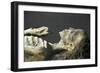 Egypt, Thebes, Luxor, Valley of the Kings, Tomb of Amenhotep II-null-Framed Giclee Print