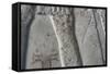 Egypt, Thebes, Luxor, Valley of the Kings, Tomb of Ramses IV, Graffiti on Wall in Corridor One-null-Framed Stretched Canvas