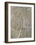 Egypt, Thebes, Luxor, Valley of the Kings, Tomb of Ramses IV, Graffiti on Wall in Corridor One-null-Framed Giclee Print