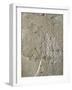 Egypt, Thebes, Luxor, Valley of the Kings, Tomb of Ramses IV, Graffiti on Wall in Corridor One-null-Framed Giclee Print