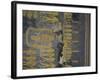 Egypt, Thebes, Luxor, Valley of the Kings, Tomb of Ramses IX-null-Framed Giclee Print