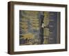 Egypt, Thebes, Luxor, Valley of the Kings, Tomb of Ramses IX-null-Framed Giclee Print