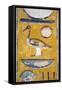 Egypt, Thebes, Luxor, Valley of the Kings, Tomb of Siptah, Close-Up of Mural Painting-null-Framed Stretched Canvas